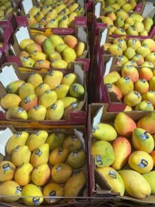 WhatsApp Image 2025-05-05 at 22.35.12 (1)