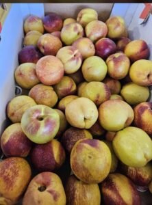 WhatsApp Image 2025-05-05 at 22.35.12 (12)