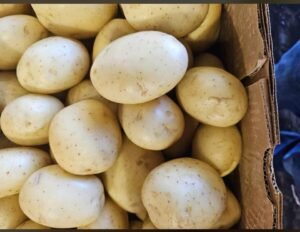 WhatsApp Image 2025-05-05 at 22.35.12 (15)