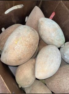 WhatsApp Image 2025-05-05 at 22.35.12 (17)