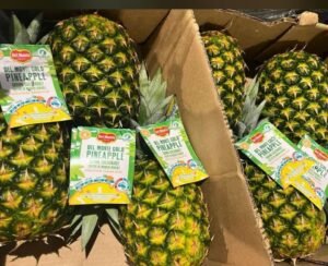 WhatsApp Image 2025-05-05 at 22.35.12 (18)