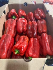 WhatsApp Image 2025-05-05 at 22.35.12 (2)