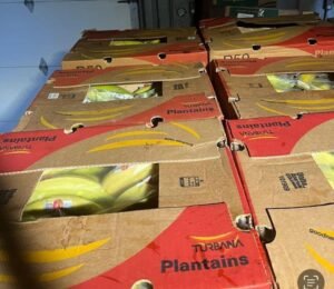 WhatsApp Image 2025-05-05 at 22.35.12 (20)