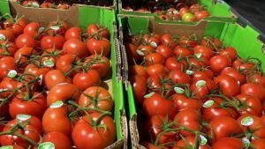 WhatsApp Image 2025-05-05 at 22.35.12 (28)