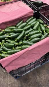 WhatsApp Image 2025-05-05 at 22.35.12 (30)