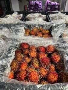 WhatsApp Image 2025-05-05 at 22.35.12 (4)