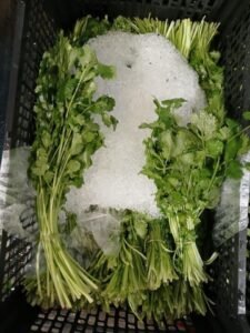 WhatsApp Image 2025-05-05 at 22.35.12 (5)