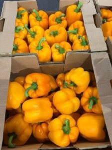 WhatsApp Image 2025-05-05 at 22.35.12 (7)