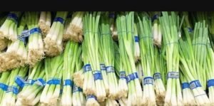 WhatsApp Image 2025-05-05 at 22.35.12 (8)