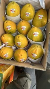 WhatsApp Image 2025-05-05 at 22.35.12 (9)